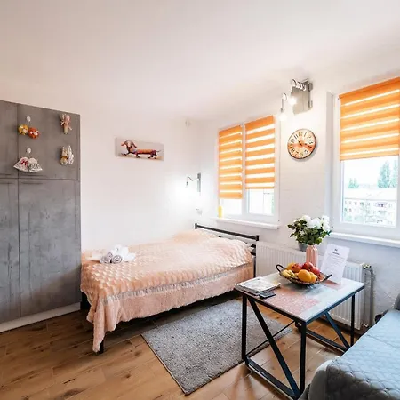 Apartamento 1 Найкраще Розташування В Місті Новая Квартира В Центрі Úzhgorod